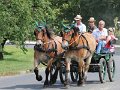 20140720_130515_IMG_5650