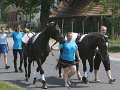 20140720_131721_IMG_5691