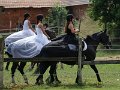 20140720_133520_IMG_5727