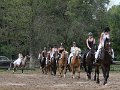 20140720_135037_IMG_5801