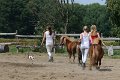20140720_142146_IMG_6108