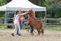 20140720_142411_IMG_6135