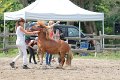20140720_142417_IMG_6145