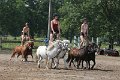 20140720_143509_IMG_6348