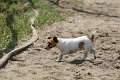 20140720_143811_IMG_6438