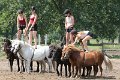 20140720_143832_IMG_6447