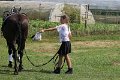 20140720_152333_IMG_6524
