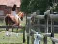 20140720_152701_IMG_6531