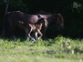 20110507_172604_IMG_6961