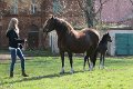 20150406_100658_IMG_0978