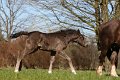 20150406_101709_IMG_1142