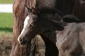 20150406_103508_IMG_1284
