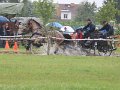 IMG_8829