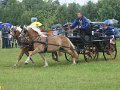 IMG_8918