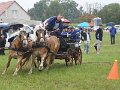 IMG_8921
