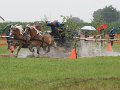 IMG_8924