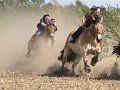 IMG_9665