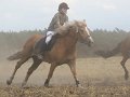 IMG_9681
