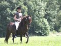 IMG_6719
