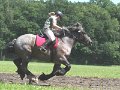 IMG_6796