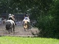 IMG_6802