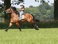 IMG_6851