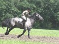 IMG_6858