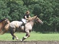 IMG_6950
