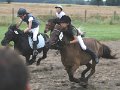 IMG_7528