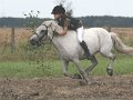 IMG_7546