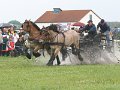IMG_7633