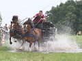 IMG_7692