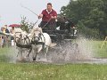 IMG_7733