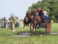 IMG_7754