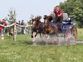 IMG_7756