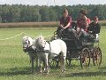 IMG_7768