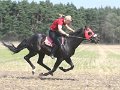 IMG_7881