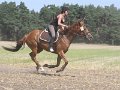 IMG_7887