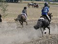 IMG_7914