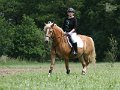 IMG_2328