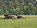 IMG_2344