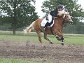 IMG_2368