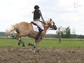 IMG_2373