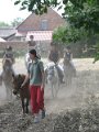 IMG_3874