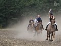 IMG_3904