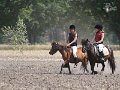 IMG_3913
