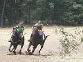 IMG_3999
