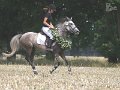 IMG_4072