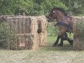 IMG_4101