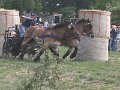 IMG_4117